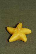 Jūros žvaigždė (forma)