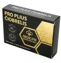 PRO PLIUS ČIOBRELIS