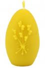 Kiaušinis su karklo šakomis (forma)